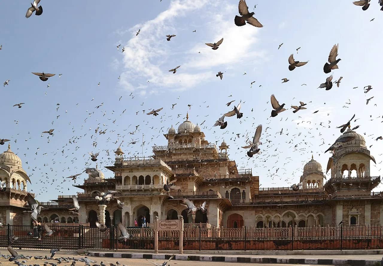 Albert Hall Museum, Jaipur
