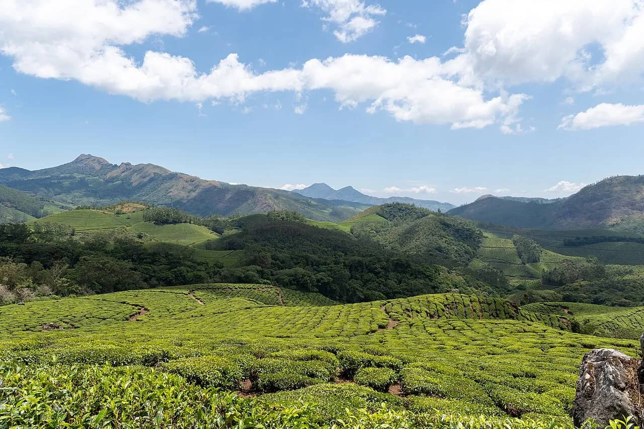 Eravikulam National Park, Munnar